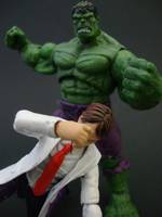 Bruce Banner (Marvel Universe) Custom Action Figure