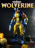 Ultimate Alliance WOLVERINE (Marvel Legends) Custom Action Figure