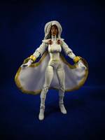 Jim Lees Storm (Marvel Universe) Custom Action Figure