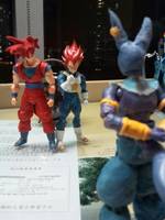 S.H.Figuarts Super Saiyan God Vegeta (Dragonball Z) Custom Action Figure