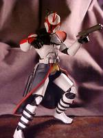Arc Trooper (Star Wars) Custom Action Figure