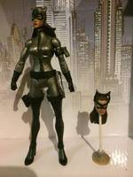 Catwoman My Design Update (DC Universe) Custom Action Figure