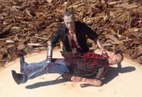 Daryl & Merle Dixon This Sorrowful Life (Walking Dead) Custom Diorama / Playset