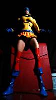 The Pro (DC Direct) Custom Action Figure