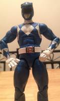 Blue Ranger (Power Rangers) Custom Action Figure