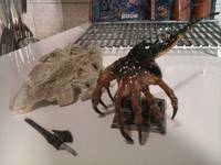 Alien Queen Skull (Aliens) Custom Miniature / Figurine