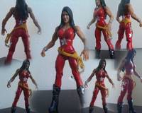 Wonder Girl  ,  Donna Troy (Teen Titans) Custom Action Figure