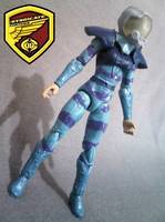 Zone Rider Katerina Anastacia ("V") Custom Action Figure