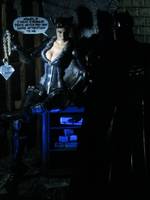 Catwoman (DC Universe) Custom Action Figure