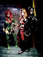 Gotham City Sirens (Batman) Custom Action Figure