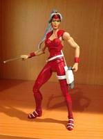 Zealot (Wildcats) (Image) Custom Action Figure