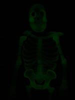Skeleton (Halloween) Custom Action Figure