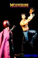 Wolverine DAYS of FUTURE past (X-Men - Movies) Custom Action Figure