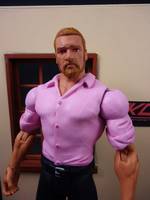 Triple H (Evolution Returns) (Wrestling) Custom Action Figure