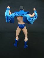 Black Condor (DC Direct) Custom Action Figure