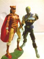 Tigress (DC Universe) Custom Action Figure
