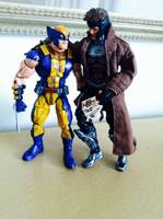 Wolverine (Marvel Legends) Custom Action Figure