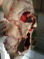 Custom Leatherface Mask (Texas Chainsaw Massacre) Custom Other