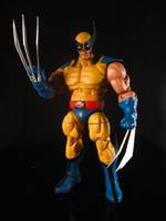 Wolverine (Crazy Buff) (Marvel Legends) Custom Action Figure