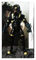 Dark Claw (Amalgam) Custom Action Figure
