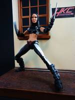 X-Force X-23 (New Buck ) (Marvel Legends) Custom Action Figure