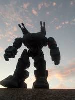Elite Gaurd (Original) Custom Action Figure