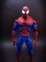 The Amazing Spider-Man (Spider-Man) Custom Action Figure