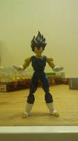 S.H.Figuarts Buu Saga Vegeta (Dragonball Z) Custom Action Figure