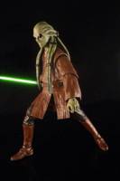 Kit Fisto (Star Wars) Custom Action Figure