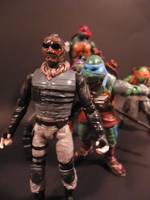 TMNT 2014 Movie Set (Teenage Mutant Ninja Turtles) Custom Action Figure