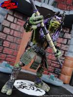 TMNT (2014 Movie Accurate Repaints) (Teenage Mutant Ninja Turtles) Custom Action Figure