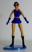 NIGHTSHADE Eve Eden Suicide Squad Member (DC Universe) Custom Action Figure