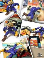 The Maxx (Maxx) Custom Action Figure