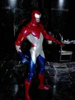 Agent America (DC Direct) Custom Action Figure
