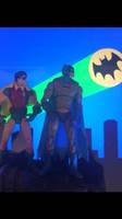 Dynamic Duo (DC Universe) Custom Action Figure