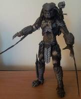 AVP Celtic Predator (Alien vs Predator) Custom Action Figure