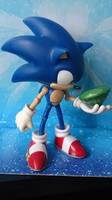 Sonic the Hedgehog (Sonic) Custom Action Figure
