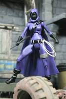 The Spoiler (DC Universe) Custom Action Figure