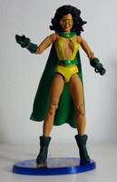 PHANTOM LADY II Delilah "Dee" Tyler Freedom Fighters Member (DC Direct) Custom Action Figure