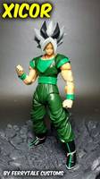 Xicor (S.H. Figuarts) Custom Action Figure
