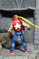 Terry Bogard (Capcom) Custom Action Figure