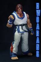 Hwoarang (Tekken) Custom Action Figure