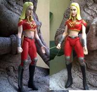 Wonder Girl (Teen Titans) Custom Action Figure