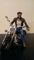 Logan the Wolverine (Marvel Select) Custom Action Figure