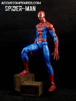Amazing Spiderman Mcfarlane Style (Marvel Legends) Custom Action Figure