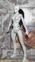 White Tiger (Marvel Legends) Custom Action Figure