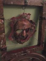 Skinned Human Face Deco (Movie Maniacs) Custom Other