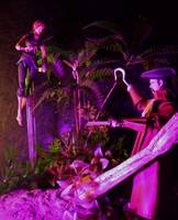 Peter Pan (Fantasy) Custom Action Figure