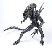 Avpr Warrior Alien (Alien vs Predator) Custom Action Figure