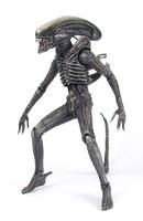 Neca 7" Alien (Aliens) Custom Action Figure